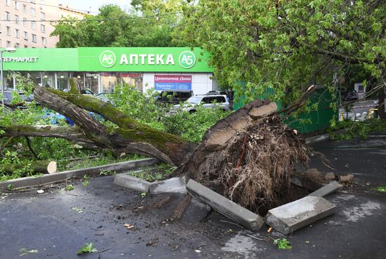 Последствия урагана в Москве