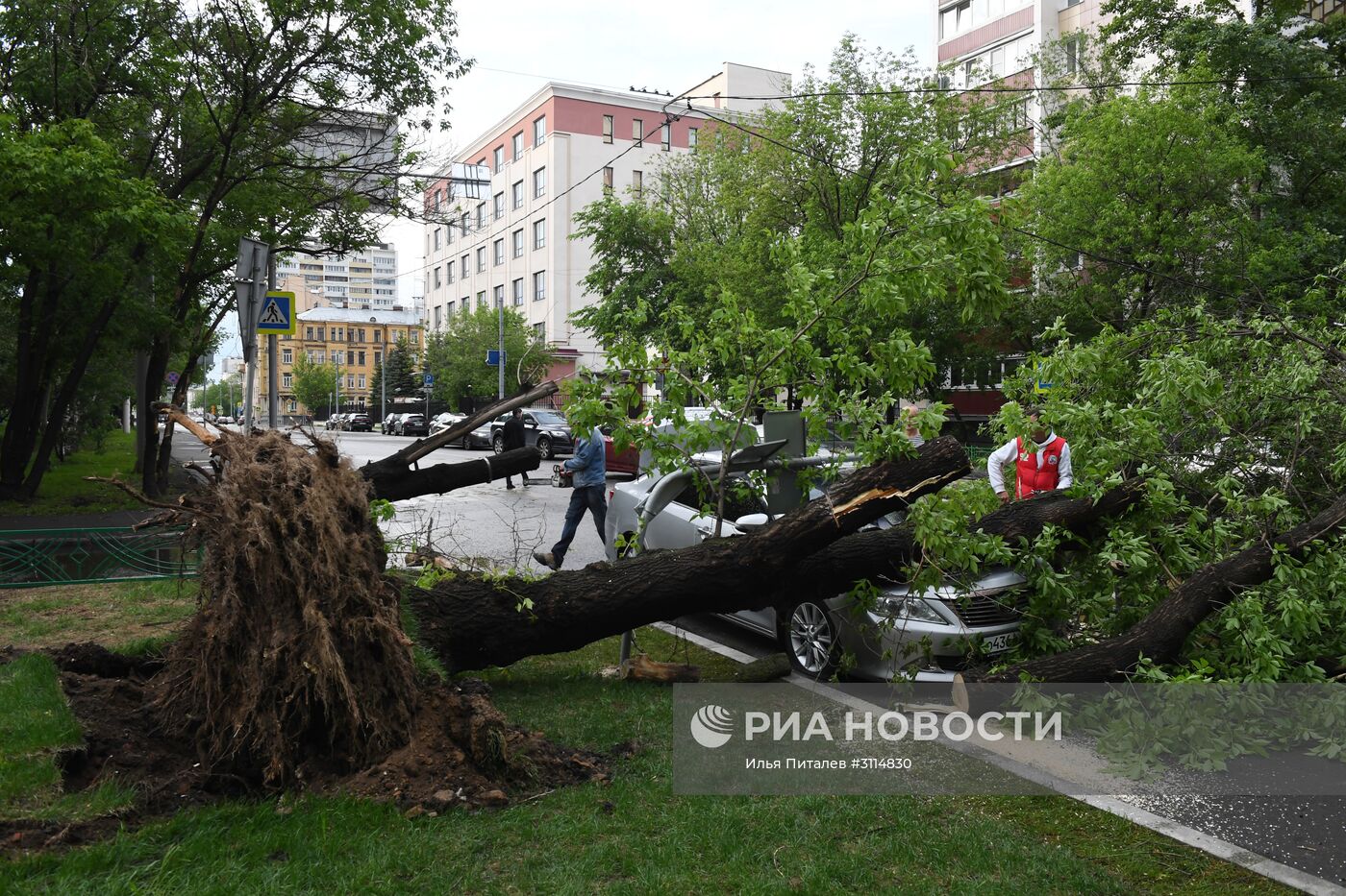 Последствия урагана в Москве