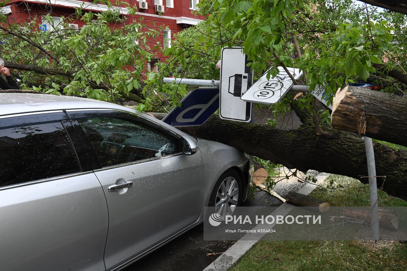 Последствия урагана в Москве