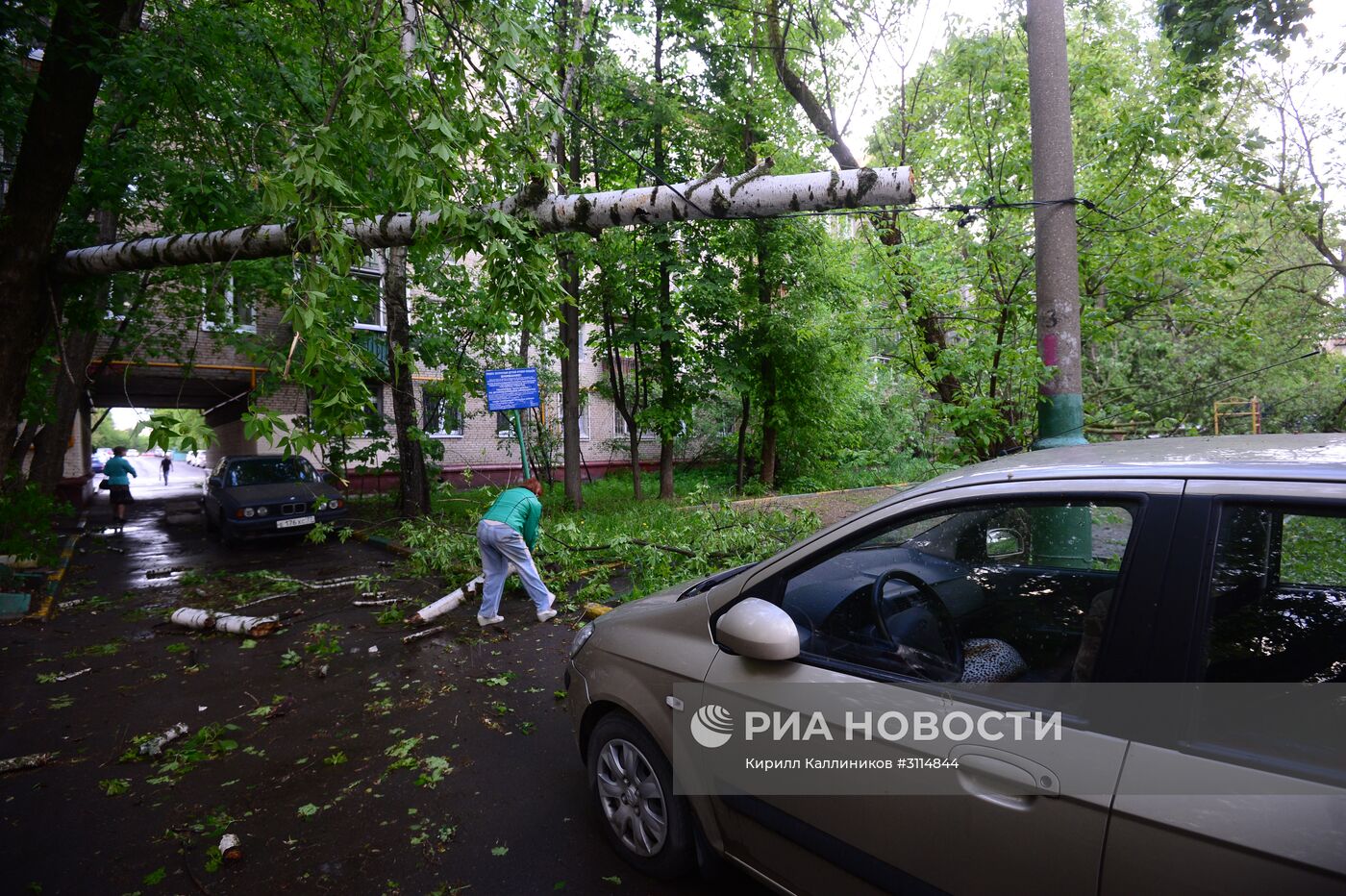 Последствия урагана в Москве