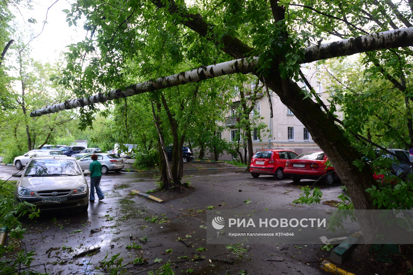 Последствия урагана в Москве