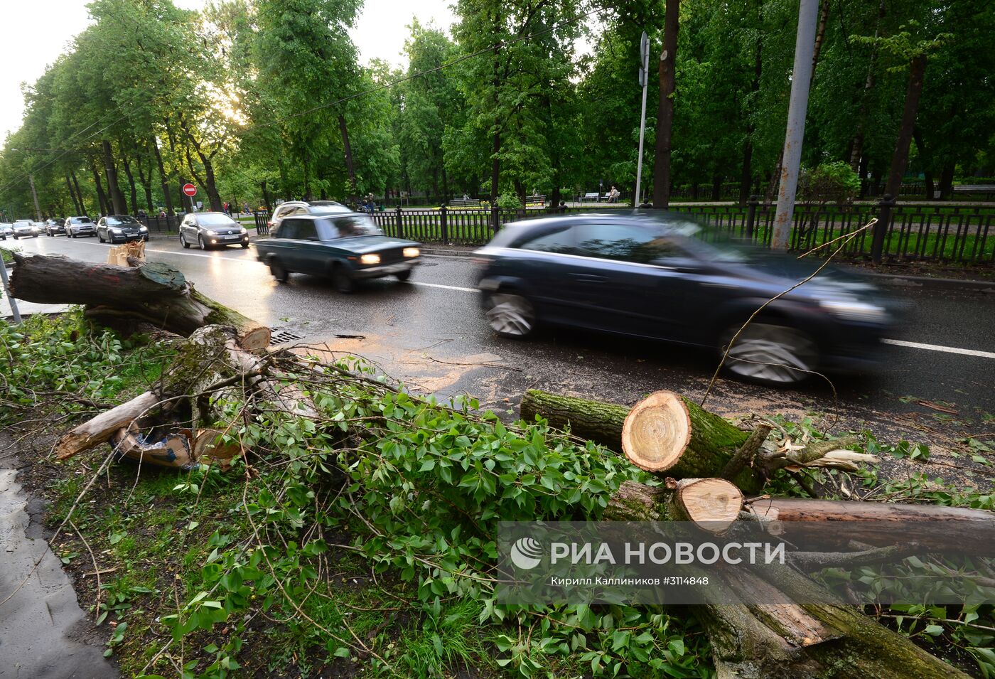 Последствия урагана в Москве
