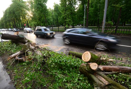 Последствия урагана в Москве