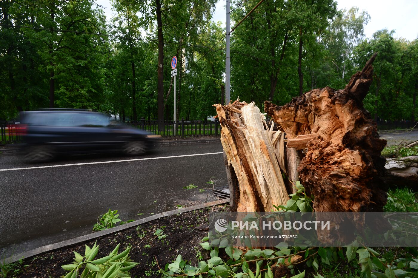 Последствия урагана в Москве