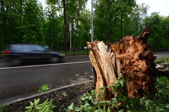 Последствия урагана в Москве