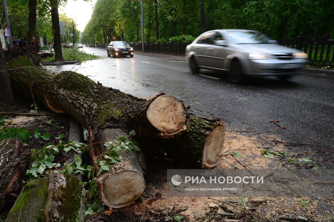 Последствия урагана в Москве