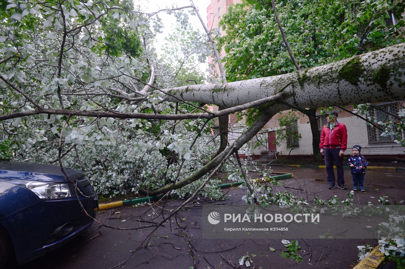 Последствия урагана в Москве