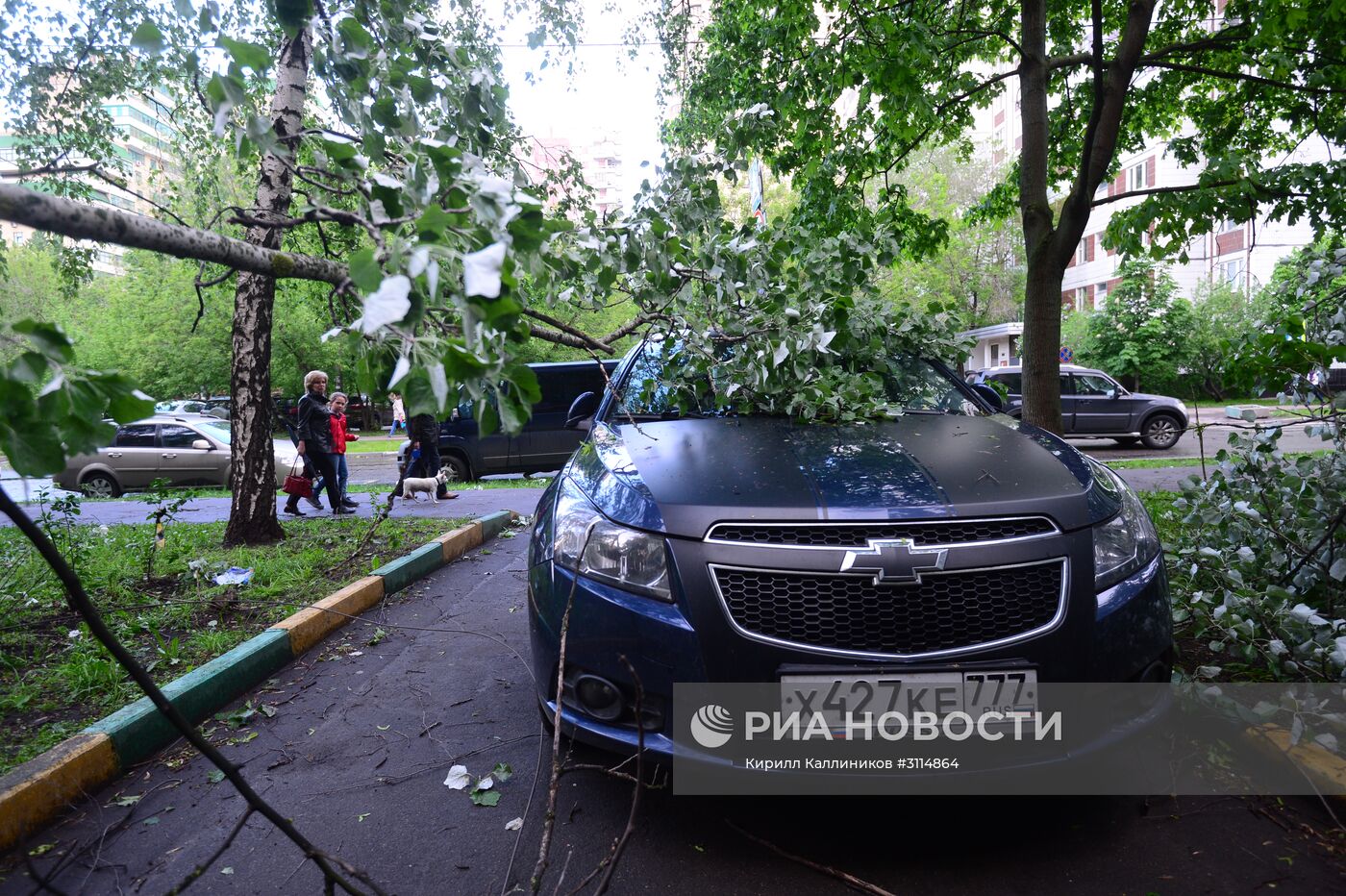 Последствия урагана в Москве