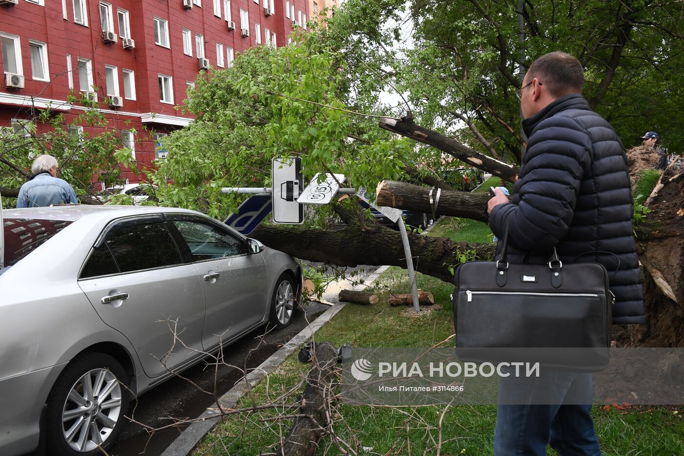 Последствия урагана в Москве