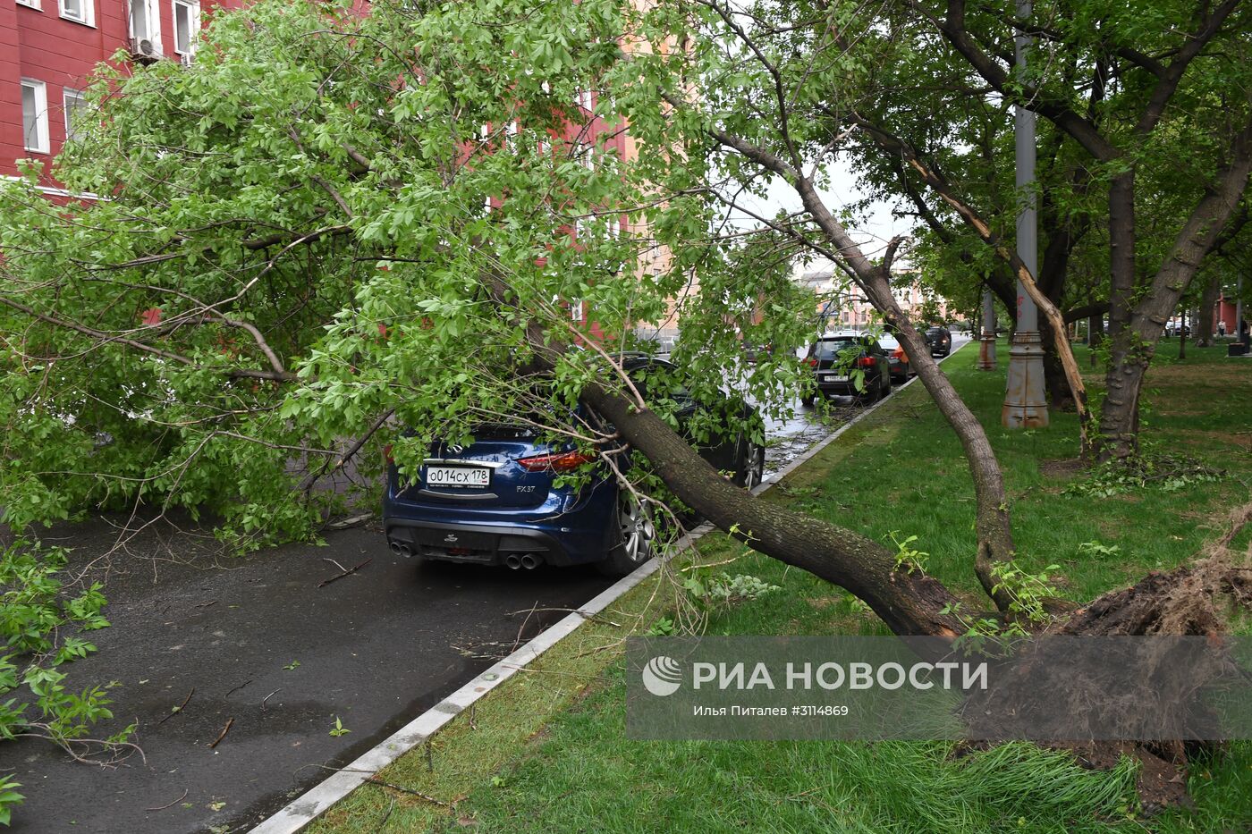 Последствия урагана в Москве