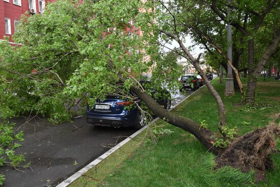 Последствия урагана в Москве
