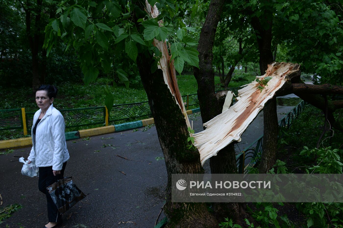 Последствия урагана в Москве