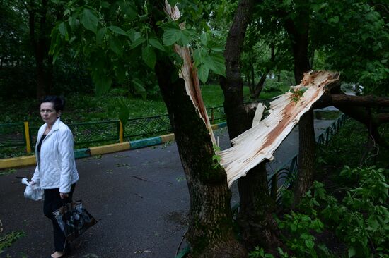 Последствия урагана в Москве
