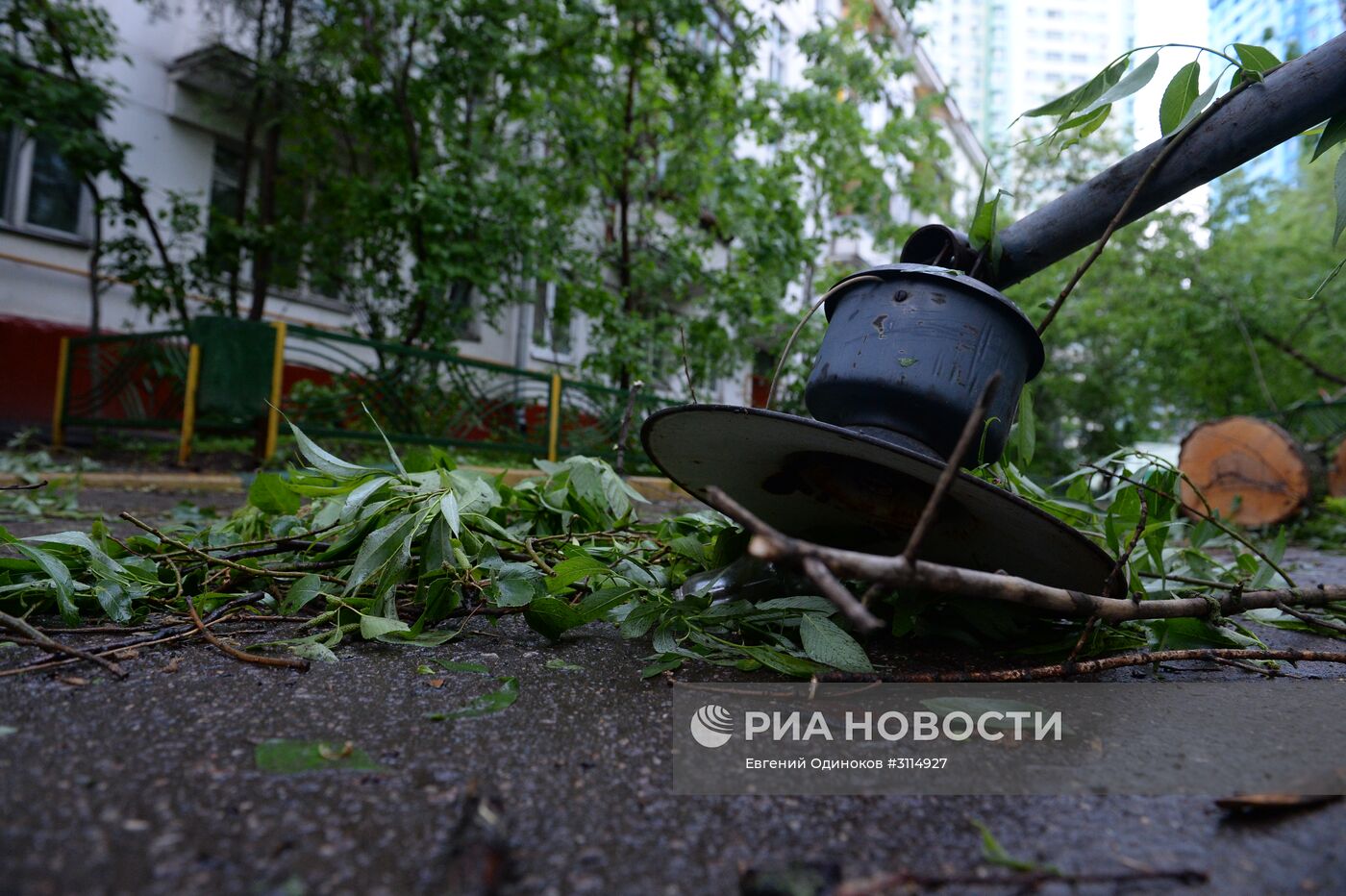 Последствия урагана в Москве