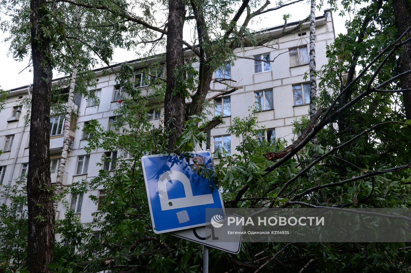 Последствия урагана в Москве