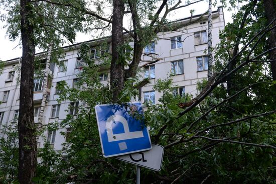 Последствия урагана в Москве