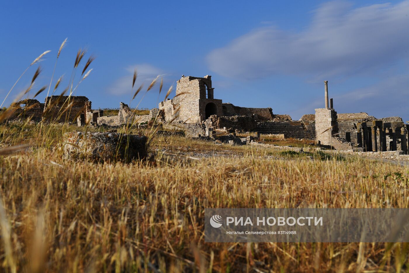 Страны мира. Тунис