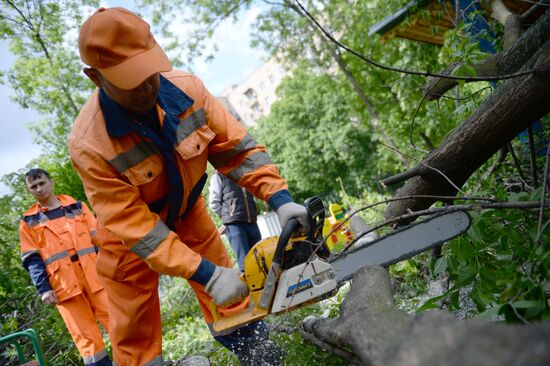 Ликвидация последствий урагана в Москве