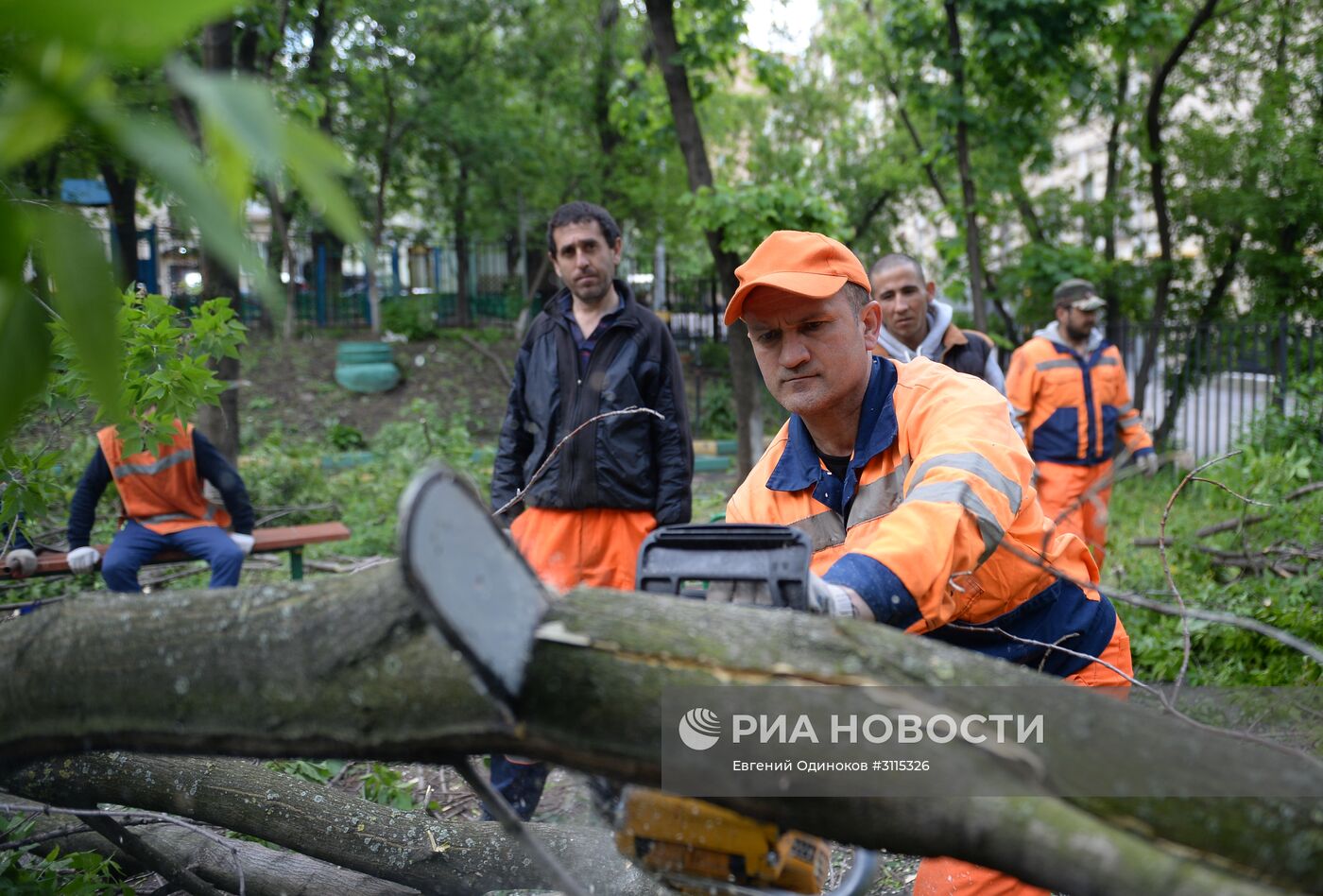 Ликвидация последствий урагана в Москве