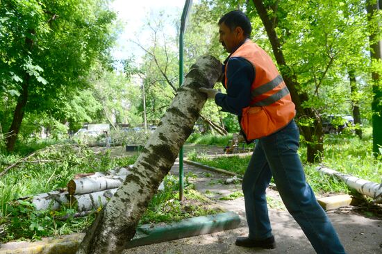 Ликвидация последствий урагана в Москве