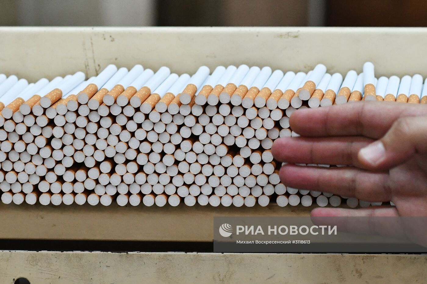 Табачная фабрика в Латакии