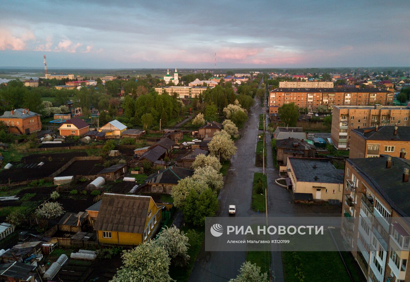 Яблоневый сад в Омской области