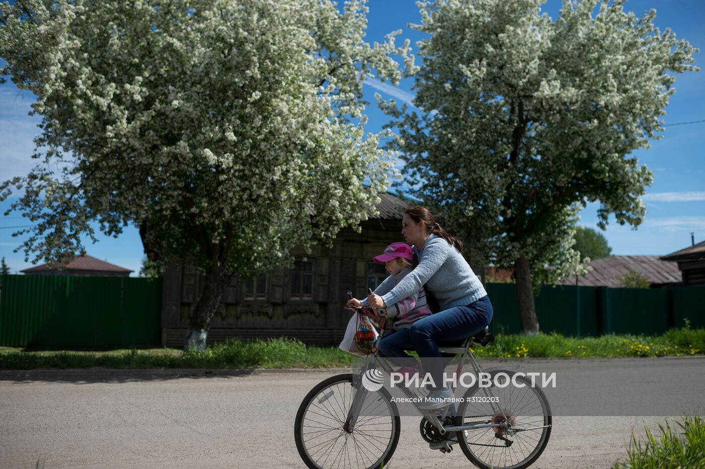 Яблоневый сад в Омской области