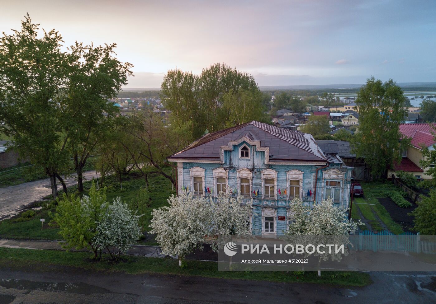 Яблоневый сад в Омской области