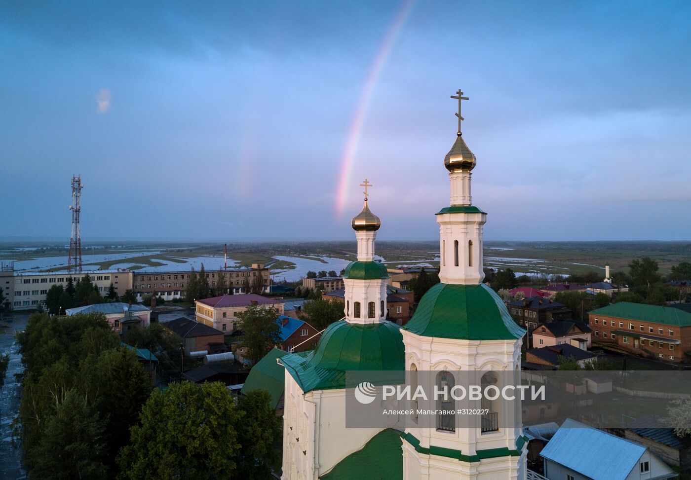 Яблоневый сад в Омской области