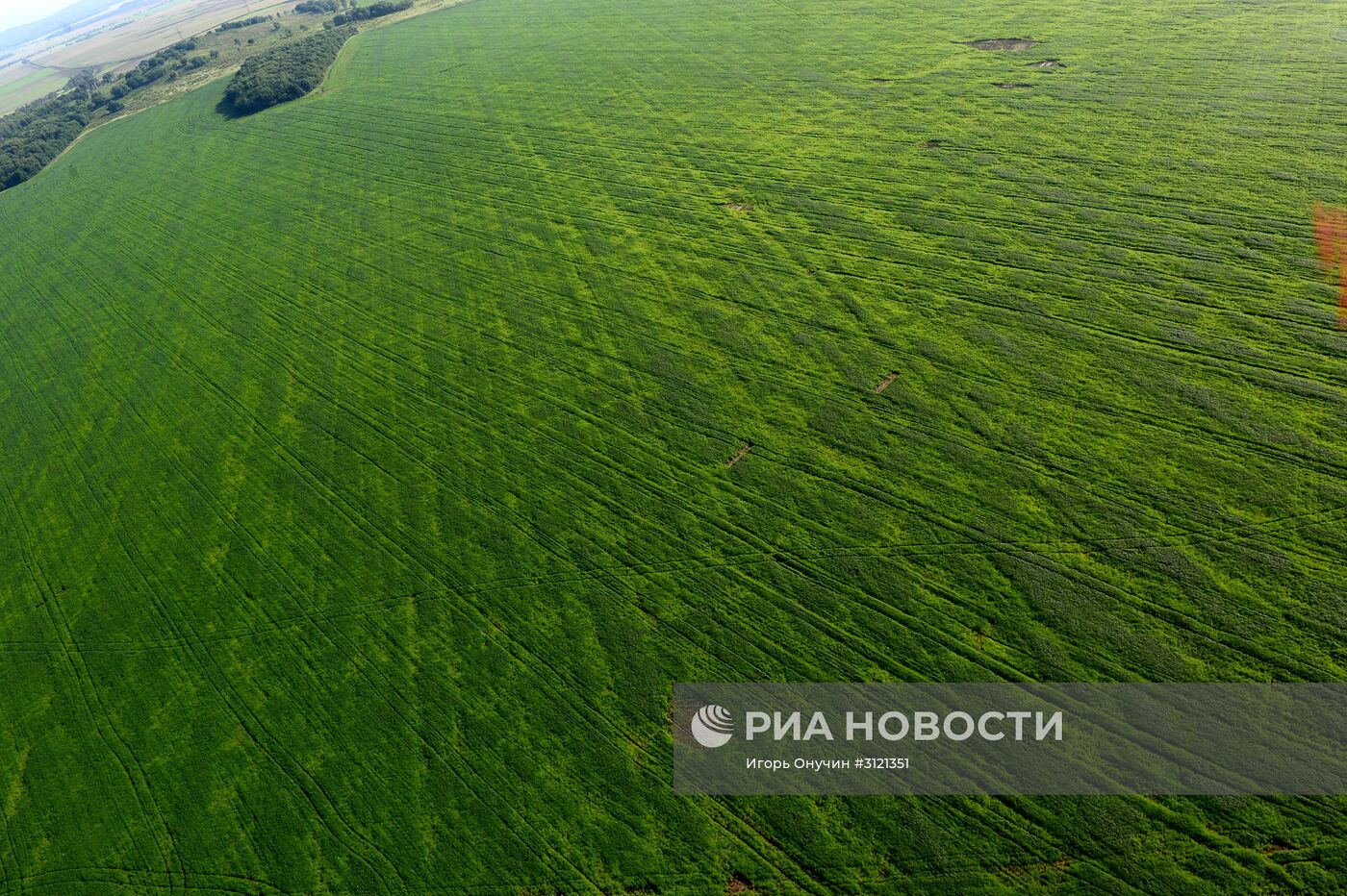 Регионы России. Приморский край