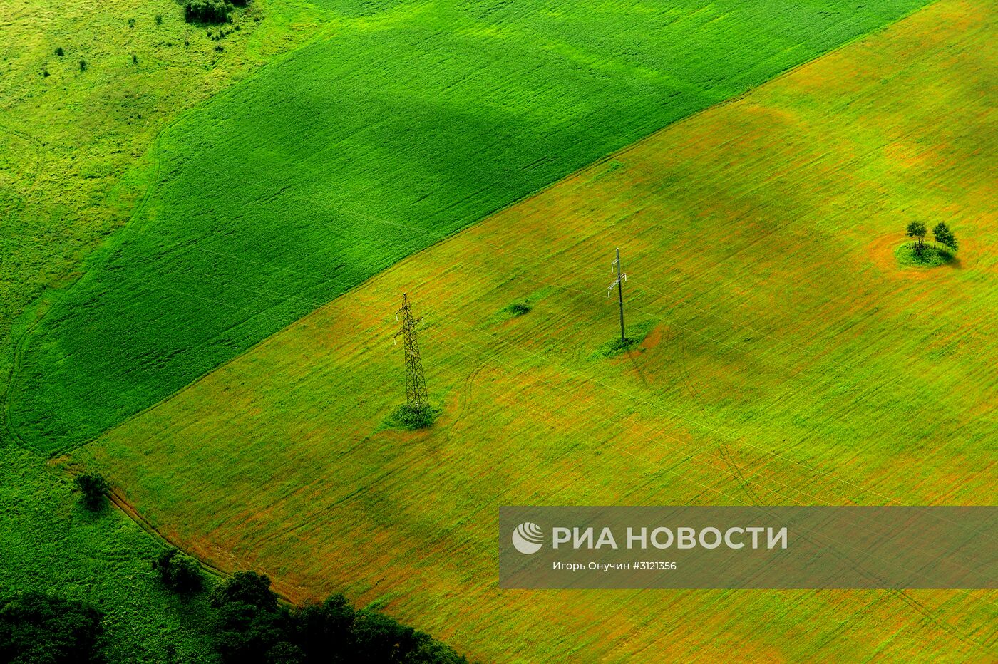 Регионы России. Приморский край