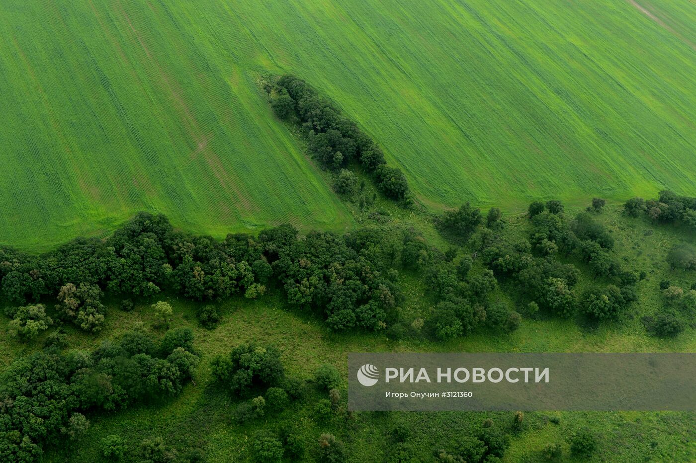 Регионы России. Приморский край