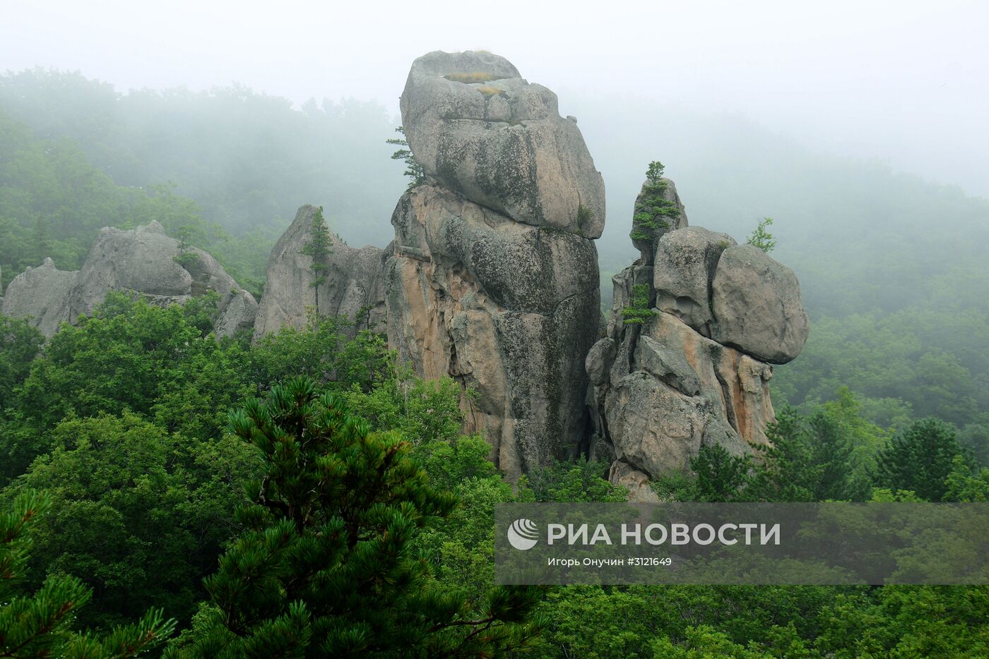 Регионы России. Приморский край