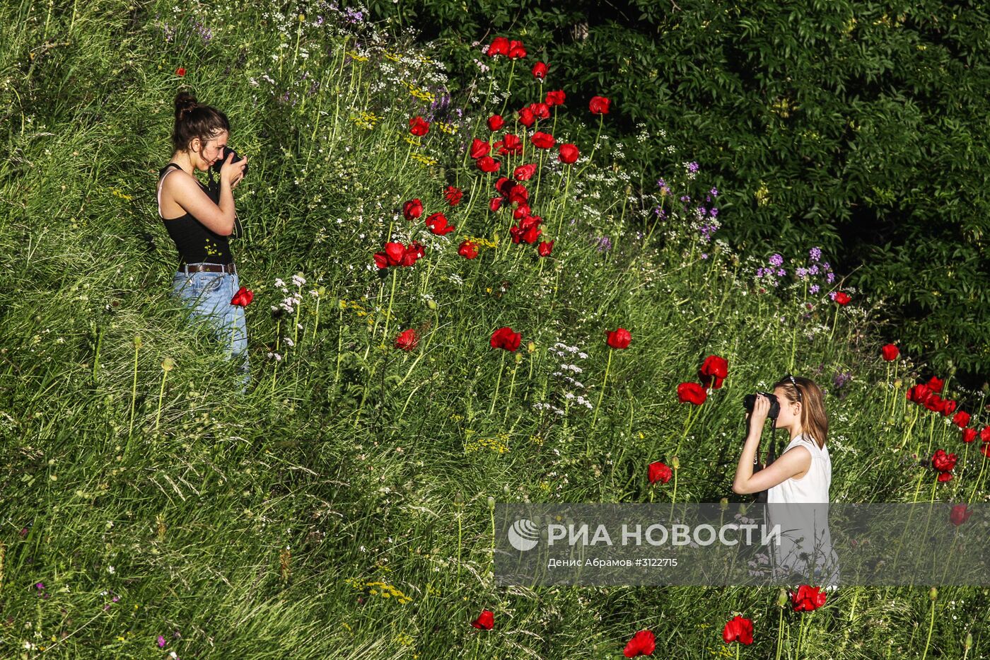 Реликтовые маки на горе Бештау в Ставропольском крае
