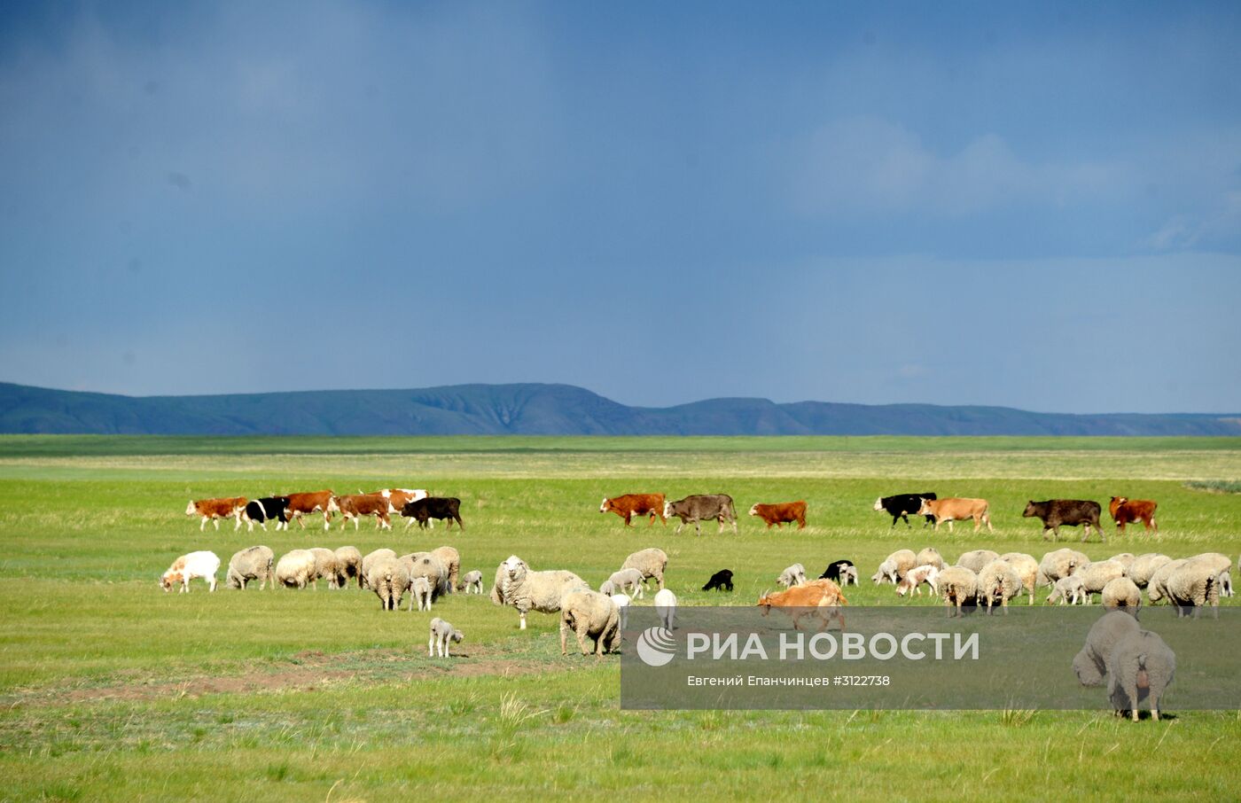 Природный биосферный заповедник "Даурский" в Забайкальском крае