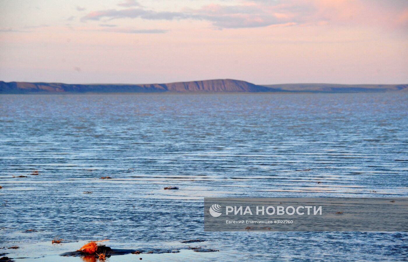 Природный биосферный заповедник "Даурский" в Забайкальском крае