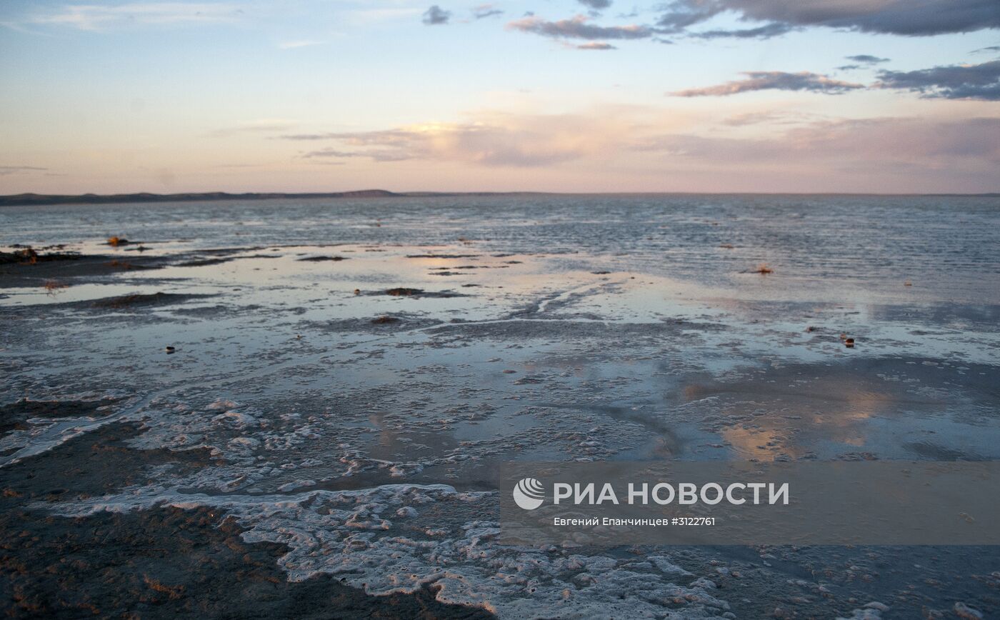 Природный биосферный заповедник "Даурский" в Забайкальском крае