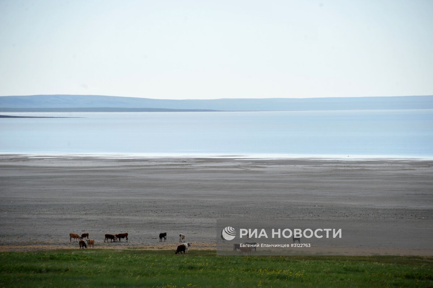 Природный биосферный заповедник "Даурский" в Забайкальском крае