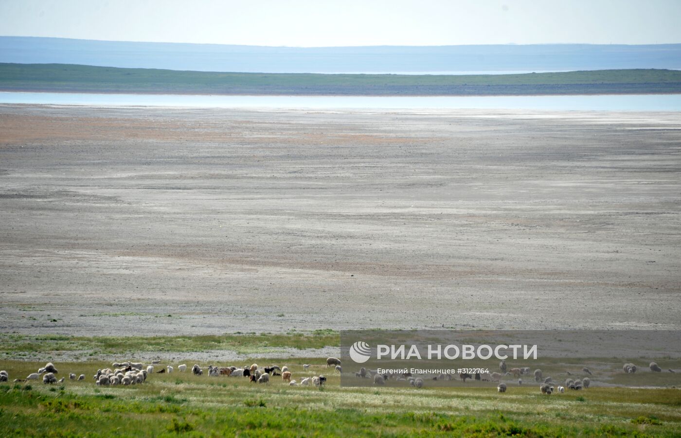 Природный биосферный заповедник "Даурский" в Забайкальском крае