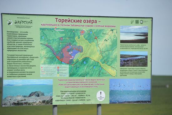 Природный биосферный заповедник "Даурский" в Забайкальском крае
