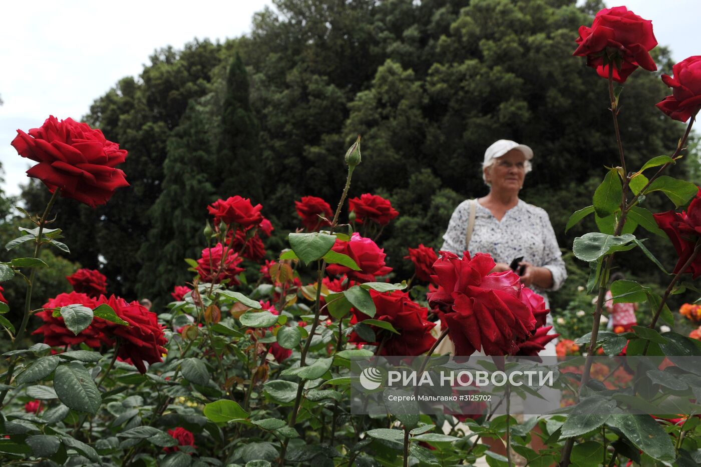 Открытие выставок "Розовый вальс" и "Динозавры в Крыму" в Никитском ботаническом саду