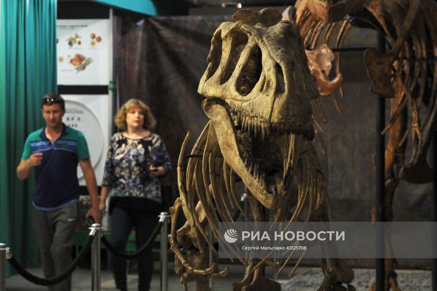 Открытие выставок "Розовый вальс" и "Динозавры в Крыму" в Никитском ботаническом саду