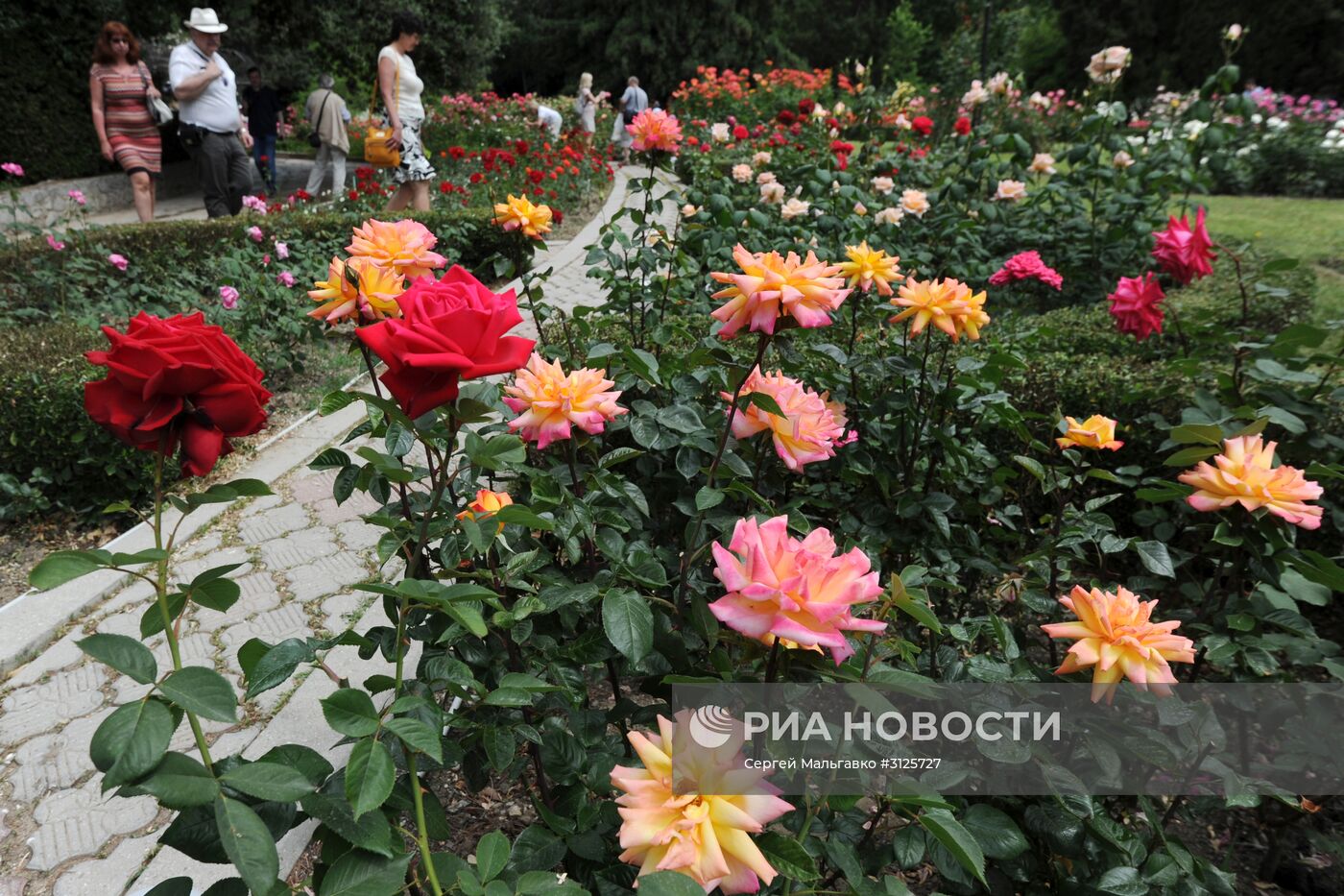 Открытие выставок "Розовый вальс" и "Динозавры в Крыму" в Никитском ботаническом саду