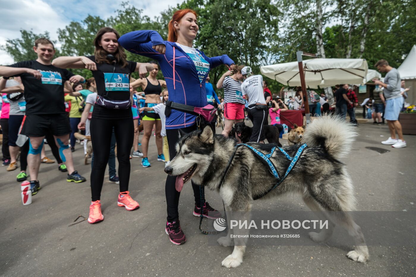 "Пушистый забег"