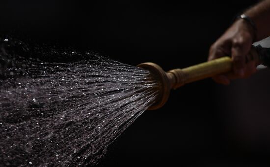 Теннис. Ролан Гаррос. Четырнадцатый день