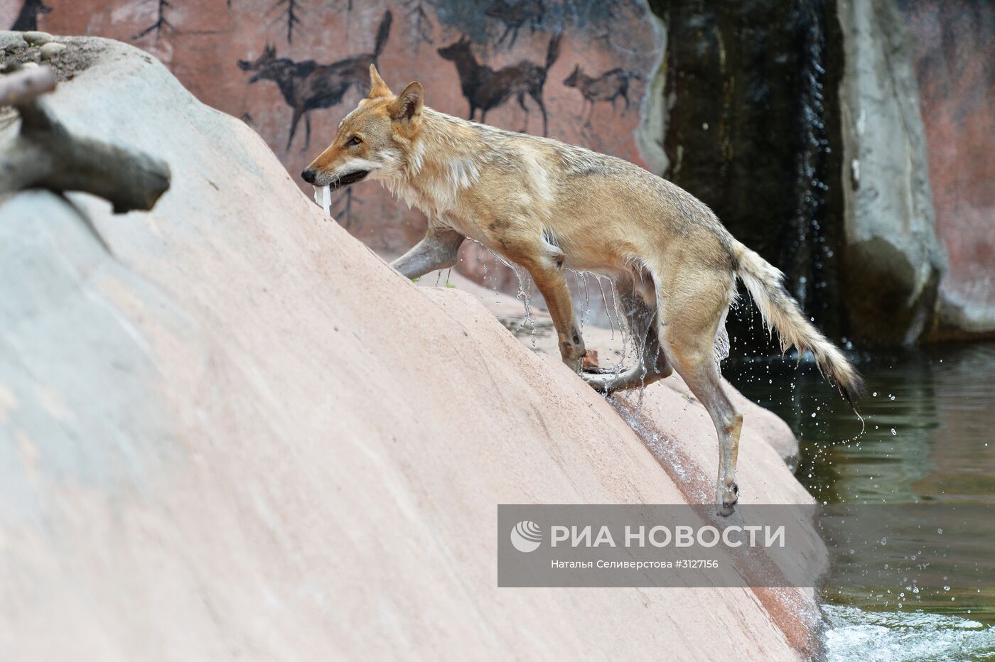 Московский зоопарк