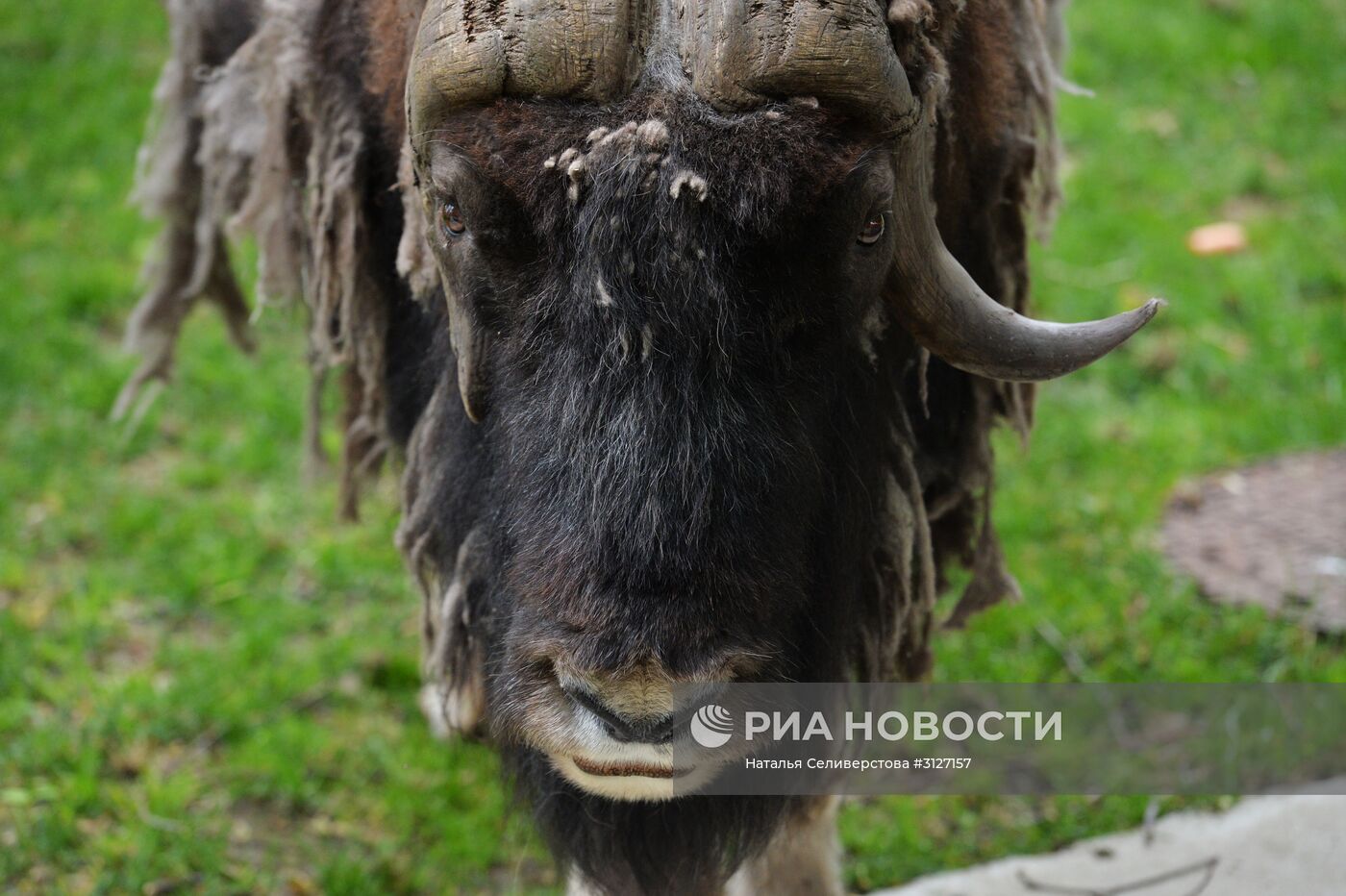 Московский зоопарк