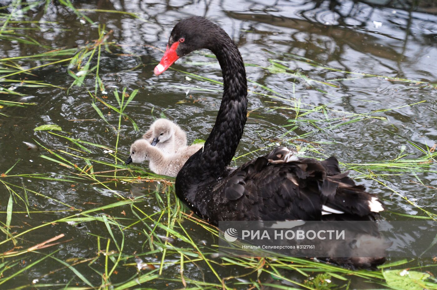 Московский зоопарк