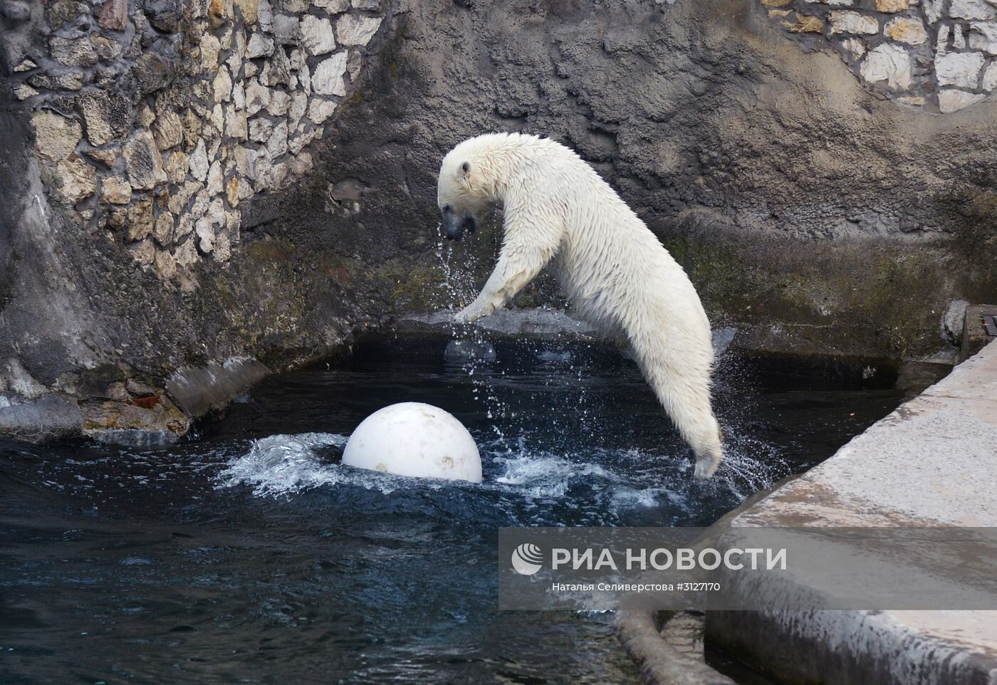 Московский зоопарк