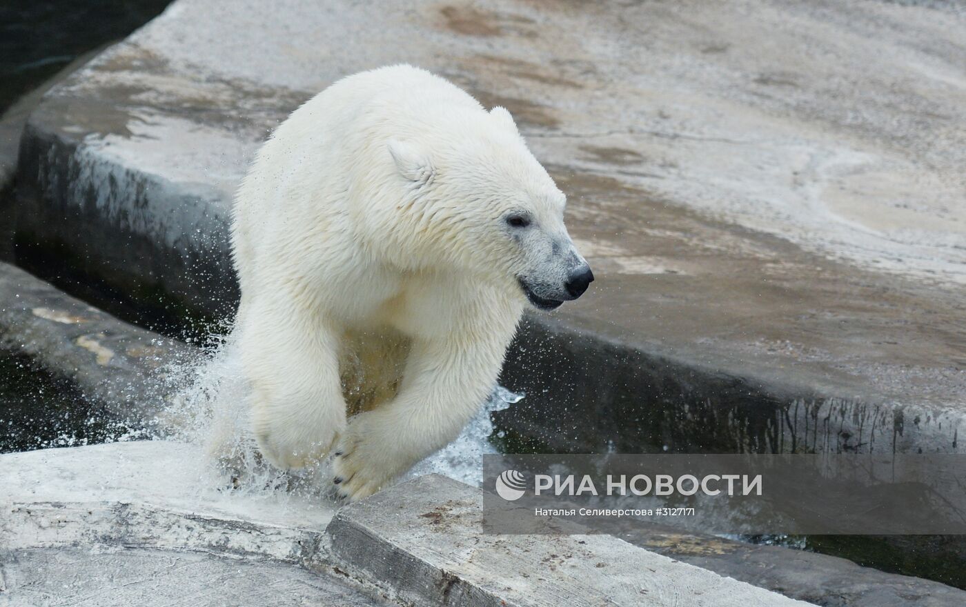 Московский зоопарк